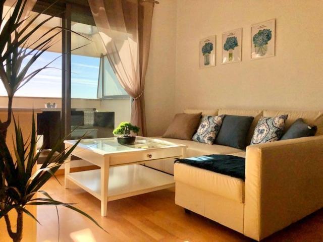 Gatu Premium Atico Parra, Parking, Piscina Comun, Terraza, Wifi , " Preferente Mayores De 25 Anos Y Familias " Ель-Пуерто-де-Санта-Марія Екстер'єр фото